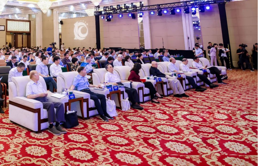 Stake��������