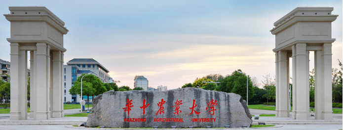 Stake����Я�֡�211����˫һ������У����������������������У԰�±��